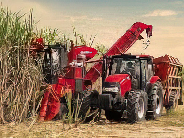 高端大马力甘蔗收获机及关键零部件生产智能化改造和产业化项目 (2)