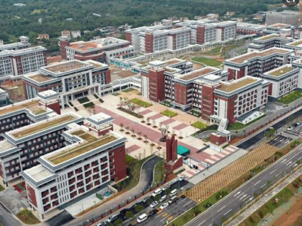 南沙榄核第二中学体育馆、艺术楼建设及广场、校道改造工程项目