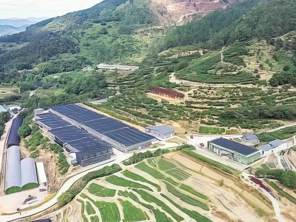 罗定市中医药产业基地配套基础设施建设项目