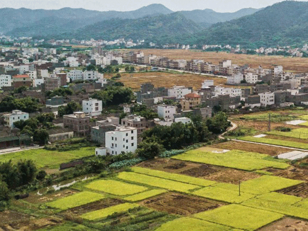 云安区乡村振兴战略规划