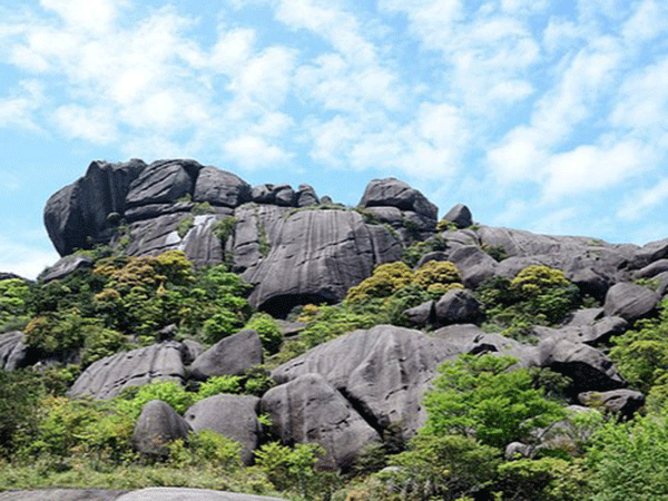 罗定市石牛山森林公园基础设施项目