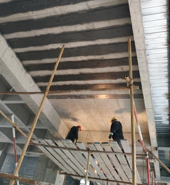 顺德区慢性病防治中心副楼抗震加固工程项目建议书评估服务