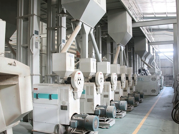 南海大拇指精米厂项目