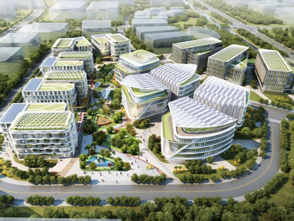 罗定市中医药产业园基础设施建设项目