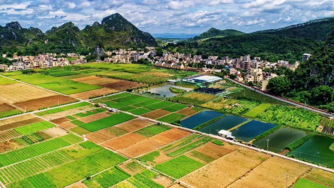 罗定市苹塘生态养殖小区项目