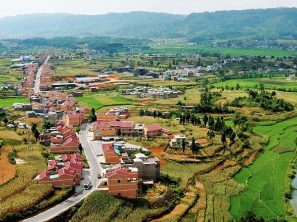 郁南县乡村振兴战略规划