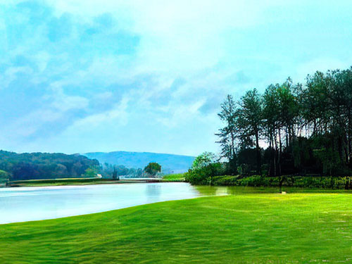 云安区全域自然村集中供水（城乡供水一体化）镇级工程实施方案