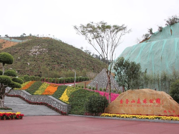 新兴县金台山森林公园建设工程项目