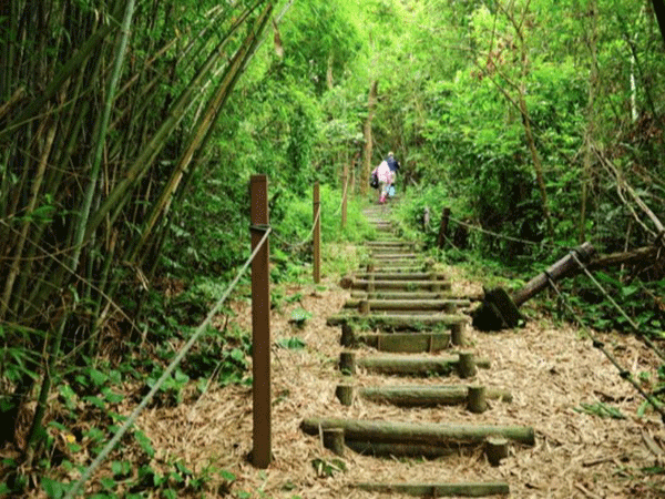 新兴县新成工业园登山运动体育步道工程项目