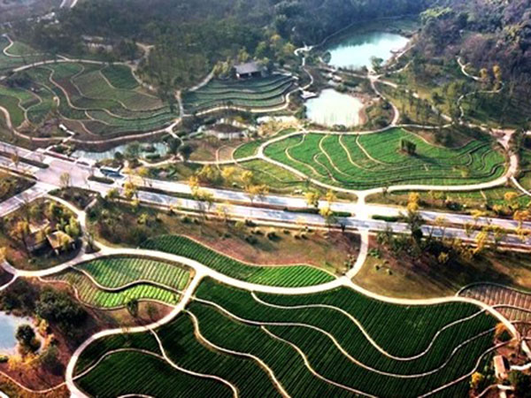 云安区云雾山绿色生态创意产业园基础设施项目