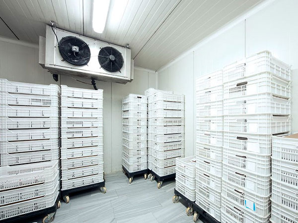 力量冷链（广州）仓储有限公司力量冷链3万吨现代化冷库项目