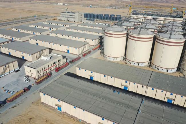 抚州市临川区地方储备粮大岗承储库点仓储设施改造项目建议书及可行性研究报告