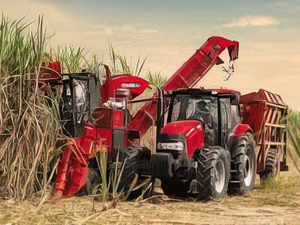 高端大马力甘蔗收获机及关键零部件生产智能化改造和产业化项目