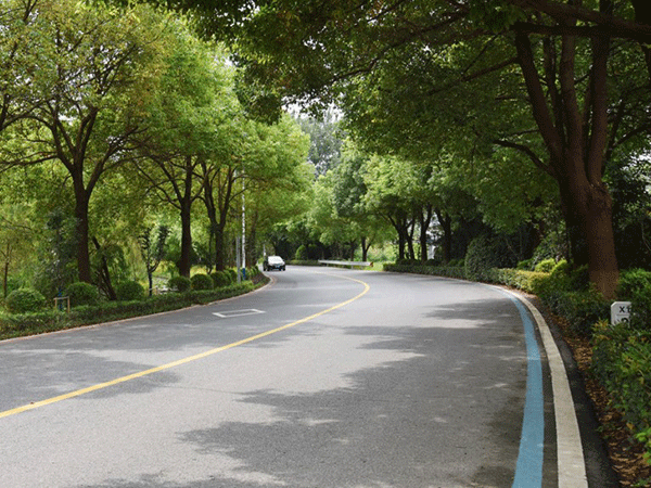 广州市白云区江高镇村社道路改造及环境整治工程项目