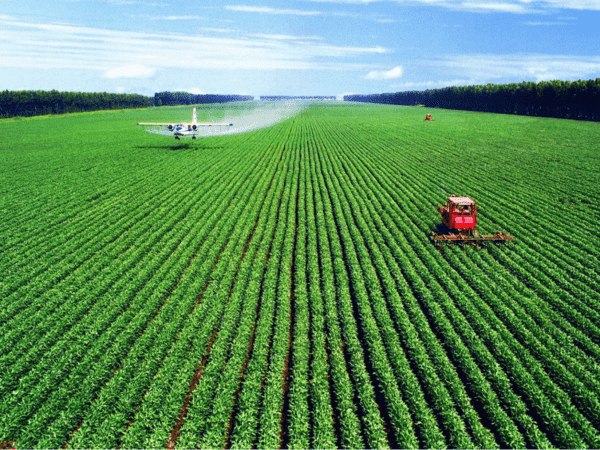 某农业种养殖项目
