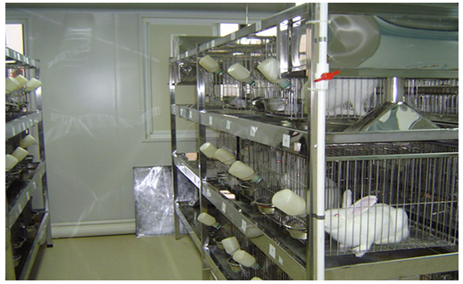 实验动物基础研究中心项目可行性研究报告编制