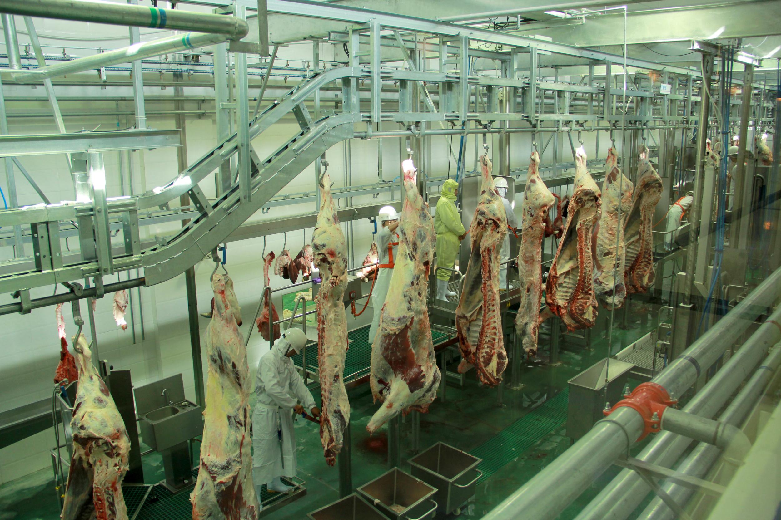 围底镇五星级屠宰场项目可行性研究报告