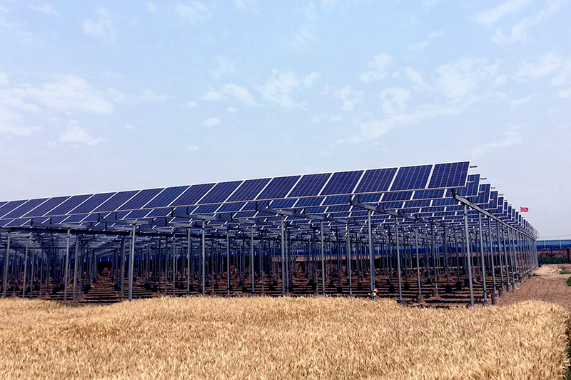 大唐高明更合50MW“农光互补”光伏发电项目社会稳定性风险分析与评估