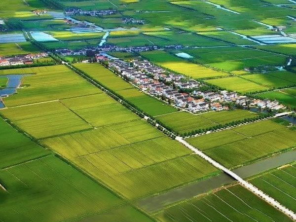 现代粮食物流园建设项目