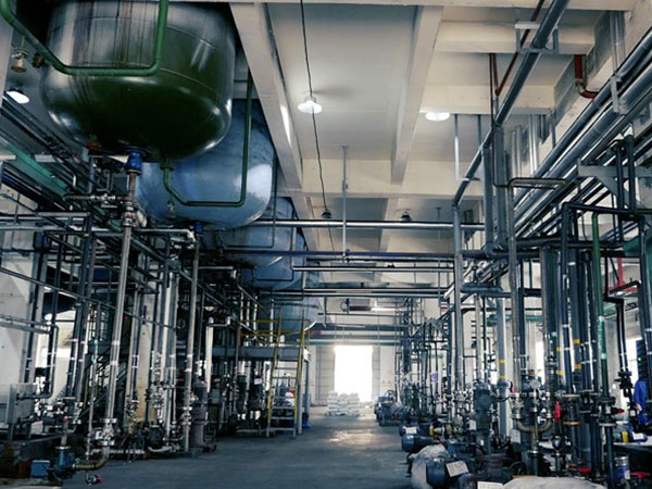 扩建年产100万吨次氯酸钠溶液、新建30万吨年高纯盐酸、新建2800万方年高纯氢项目