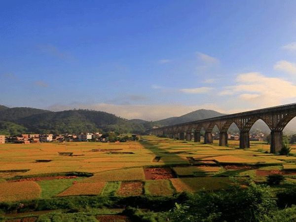 罗定市特色农业三产融合项目