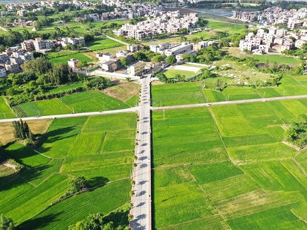乾塘至龙头（省道S081至官滘段）道路建设项目