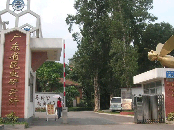 广东省昆虫研究所科技办公综合大楼建设项目节能评估报告