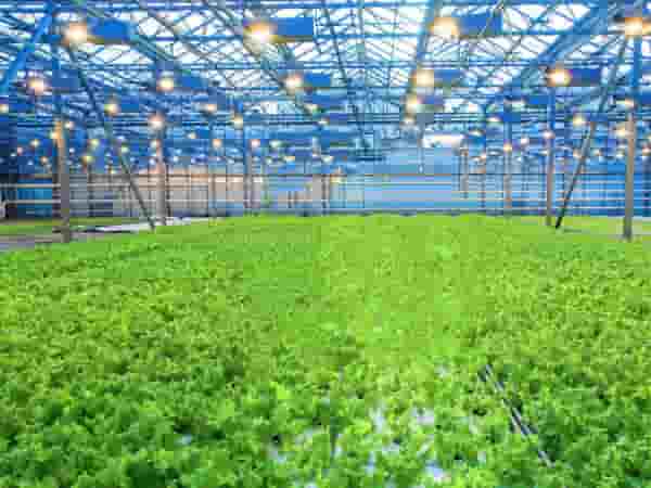 广东**农业发展有限公司种养加项目