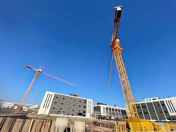 新型动物专用低毒长效生物药物研发及产业化项目