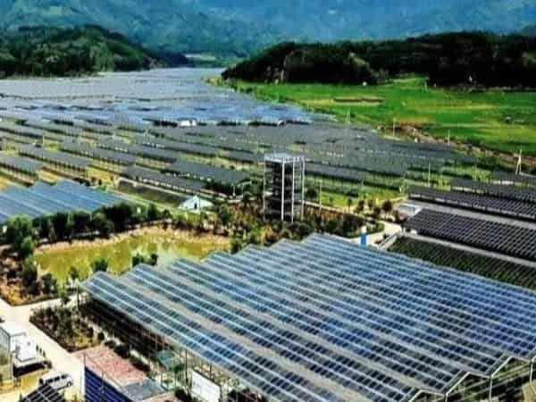 现代农业产业园基础设施工程项目