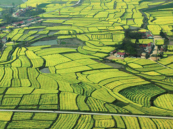 开平市申报全国休闲农业和乡村旅游示范市项目