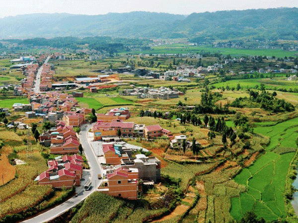 郁南县乡村振兴战略规划