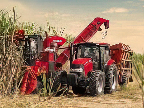 高端大马力甘蔗收获机及关键零部件生产智能化改造和产业化项目