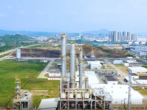 惠州宇新新材料有限公司年产15万吨顺酐项目