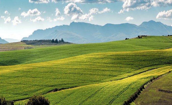 农业综合园区基础设施建设项目