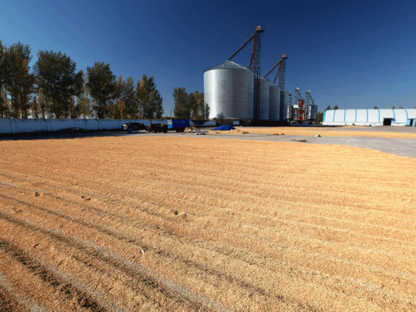 年产20万吨精米厂建设项目