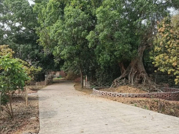 云浮市云安区白石人居环境整治提升项目