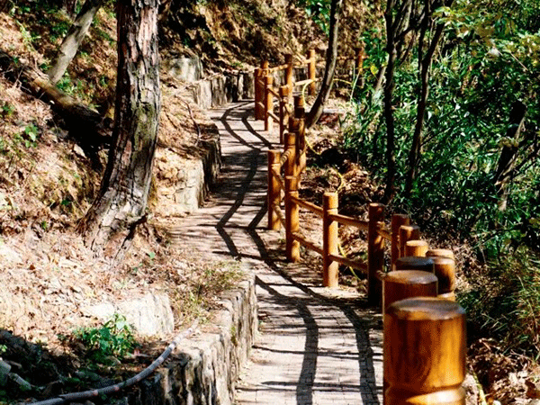 清远市飞来峡古栈道修复工程（白庙至飞来寺段）项目