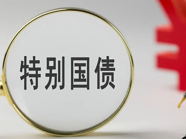 某公司设备更新超长期特别国债及贷款财政贴息申报辅导服务项目