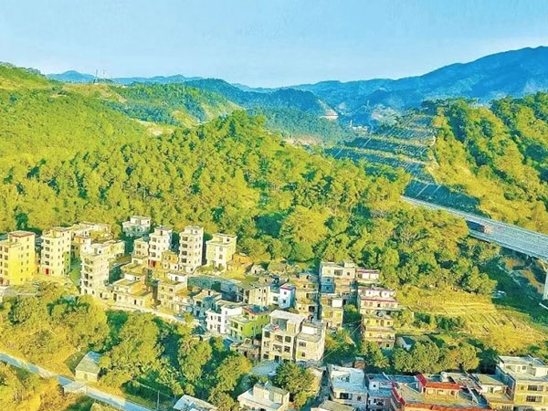 云安区石城镇产业发展规划