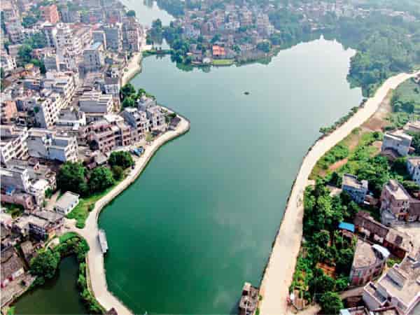 某市生态治理工程项目