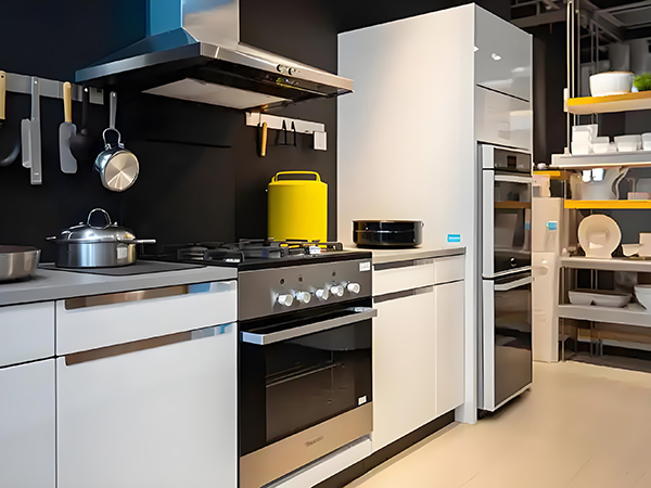 深圳某家电企业品牌定位与产品营销项目