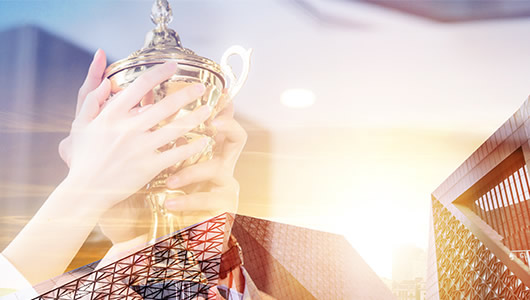 二十多年品牌企业