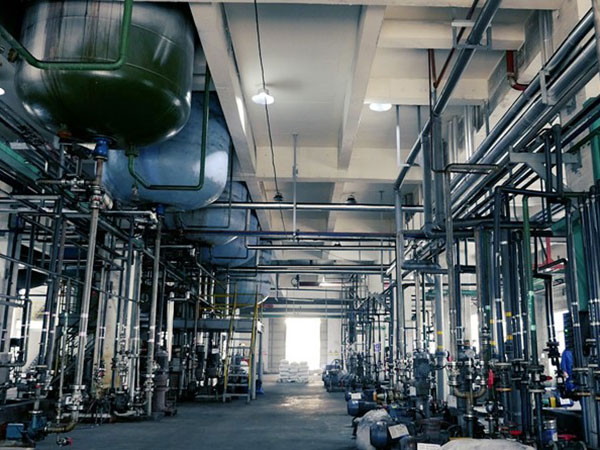 扩建年产100万吨次氯酸钠溶液、新建30万吨年高纯盐酸、新建2800万方年高纯氢项目