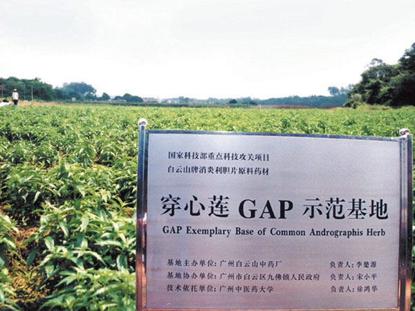 广州白云山和记黄埔穿心莲GAP基地建设项目