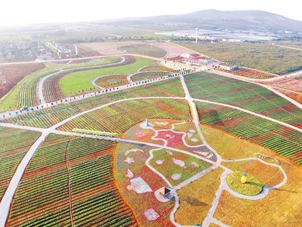 雷州市现代农业产业园（首期）项目