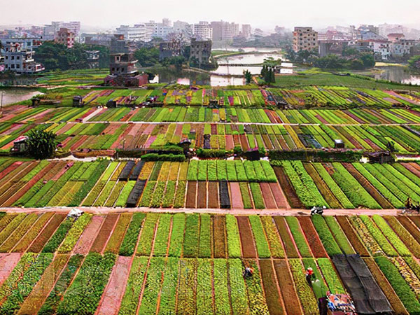 灯塔盆地农高区种业基地园区基础设施项目
