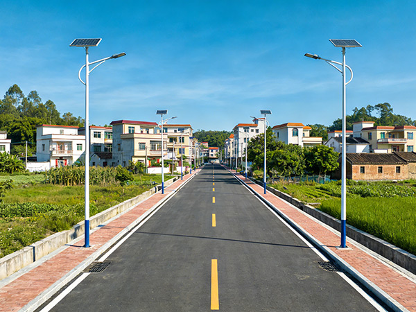 广州市番禺区某村市政基础设施专项投资评估