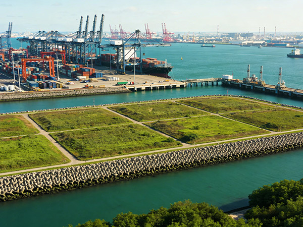 某港口项目水土保持方案